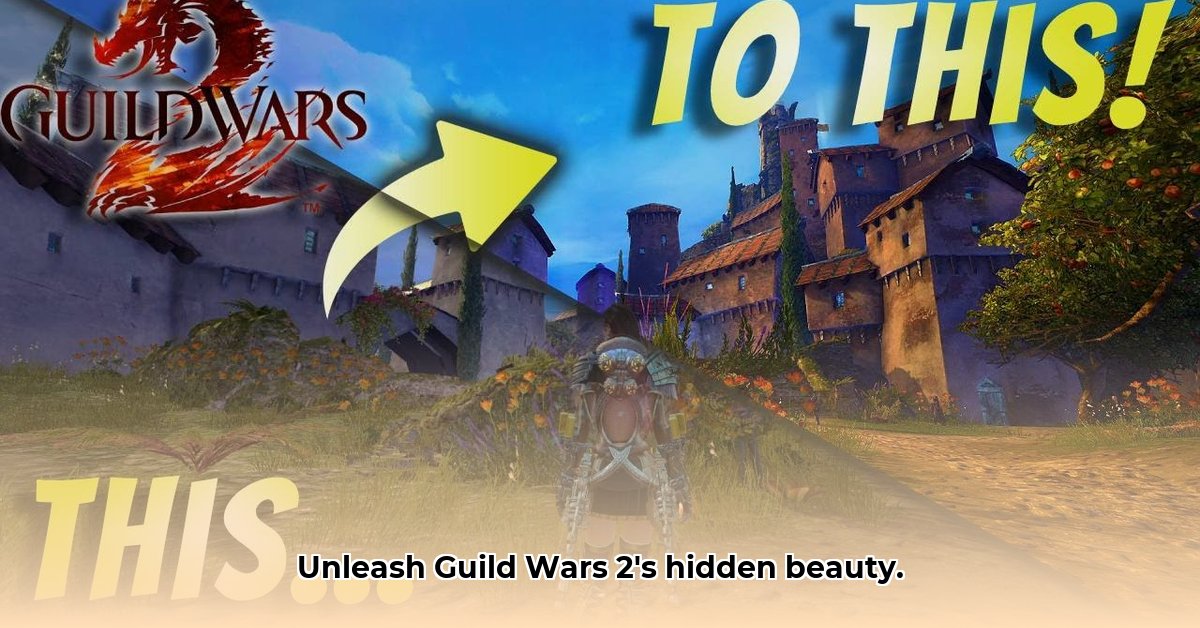 reshade-gw2-download